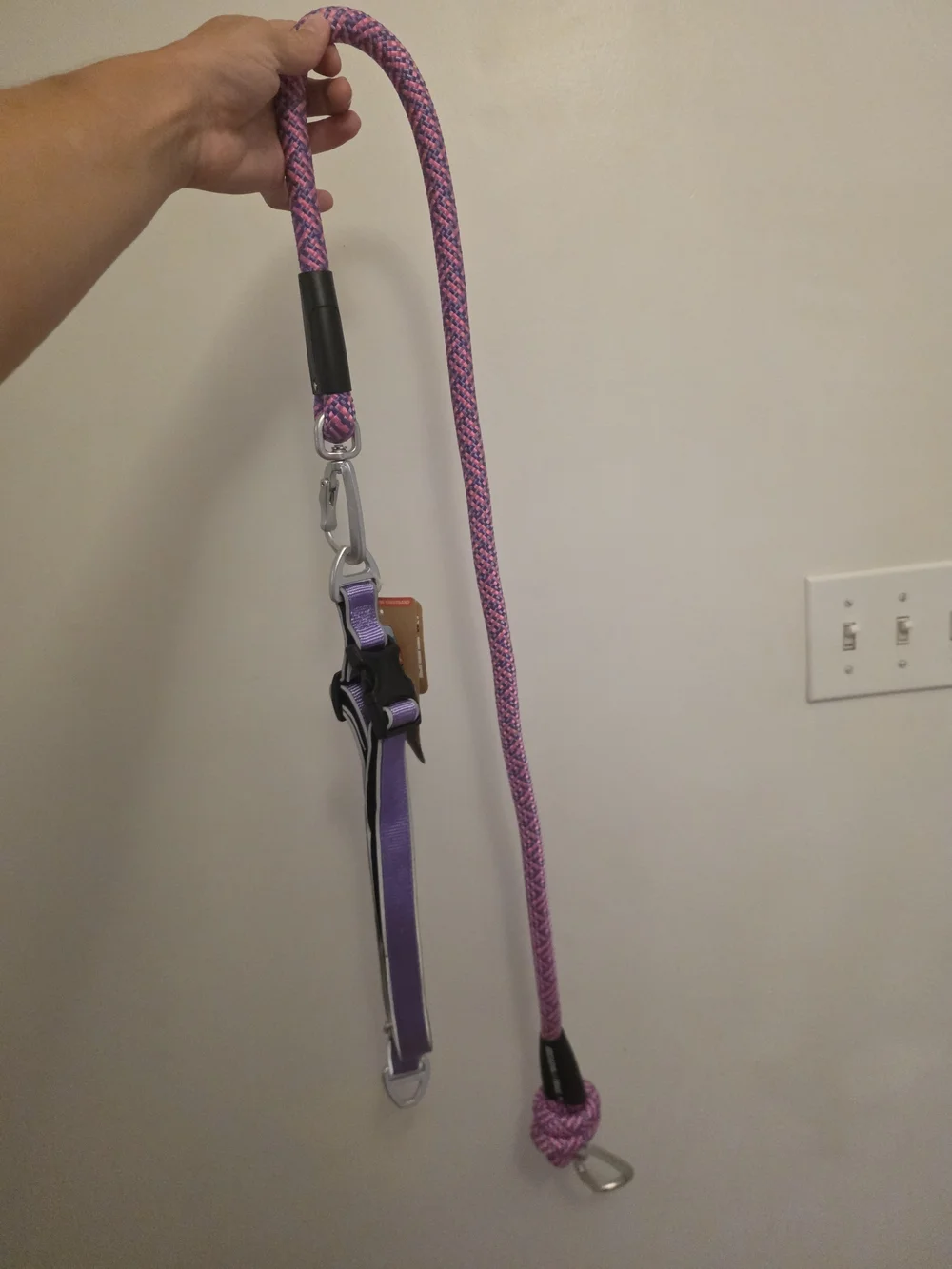 Arcadia Purple and Pink Hands-Free Dog Leash